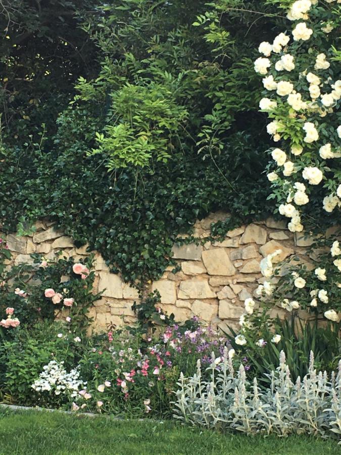 Chambre Cote Jardin Nimes Bagian luar foto